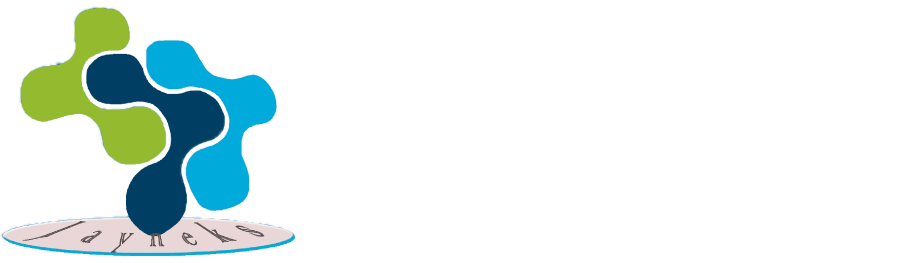 Jayneks Logo Web
